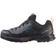 Scarpe da donna Salomon X Ultra Alpine Gore-Tex