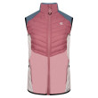 Gilet da donna Dare 2b Surmount II Vest rosa MesaRse/Pwdr