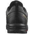 Scarpe da uomo Salomon X Braze Gore-Tex