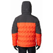 Giacca da uomo Columbia Wild Card Down Jacket