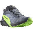 Scarpe da corsa da uomo Salomon Sense Ride 5 Gore-Tex grigio Flint Stone / Black / Green Gecko