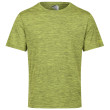 Maglietta da uomo Regatta Fingal Edition verde chiaro Green Algae