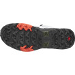 Scarpe da uomo Salomon X Ultra 4 Gore-Tex