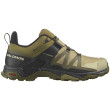 Scarpe da trekking da uomo Salomon X Ultra 4 Gtx