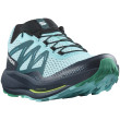 Scarpe da corsa da uomo Salomon Pulsar Trail blu Blue Radiance / Carbon / Emerald