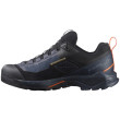 Scarpe da uomo Salomon X Ultra Alpine Gore-Tex