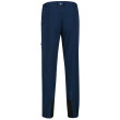 Pantaloni da uomo Regatta Mountain Wntr Trs