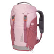 Zaino bambino Jack Wolfskin Waldspieler rosa/bordeaux Water Lily