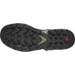 Scarpe da uomo Salomon Quest Element Gore-Tex