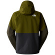 Giacca da uomo The North Face M Lightning Zip-In Jacket