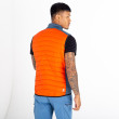 Gilet da uomo Dare 2b MountaineerIIVest