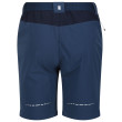 Pantaloncini da uomo Regatta Mountain ShortsII M