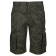 Pantaloncini da uomo Regatta Shorebay Short verde DarkKhakLeaf