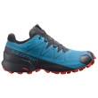 Scarpe da uomo Salomon Speedcross 5 GTX