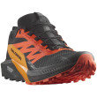 Scarpe da corsa da uomo Salomon Sense Ride 5 Gore-Tex nero/rosso Black / Scarlet Ibis / Turmeric