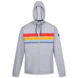 Felpa da uomo Regatta Shorebay Hoody II grigio SilverGryMrl