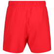 Pantaloncini da uomo Regatta Mawson SwShortIII