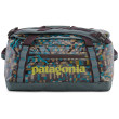 Borsa da viaggio Patagonia Black Hole Duffel 40L verde Fitz Roy Patchwork: Nouveau Green