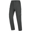 Pantaloni da uomo Direct Alpine Beam grigio Anthracite