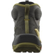 Scarpe da uomo Salomon Elixir Mid Gore-Tex