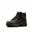 Scarpe da uomo Columbia Newton Ridge™ Plus II Waterproof