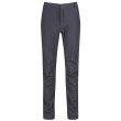 Pantaloni da uomo Regatta Fenton grigio SealGrey