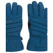 Guanti da sci Dare 2b Charisma III Glove