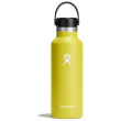 Borraccia termica Hydro Flask Standard Mouth 18 oz giallo/verde cactus