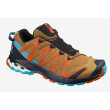 Scarpe da uomo Salomon Xa Pro 3D V8 marrone Bistre