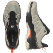 Scarpe da trekking da uomo Salomon X Ultra 4 Gtx