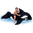 Orca gonfiabile Intex Whale RideOn 58561NP