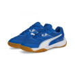 Scarpe da bambino Puma Solarflash Jr II