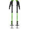 Bastoncini da skialp Black Diamond Expedition WR 3 verde