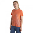 Maglietta sportiva da donna Icebreaker Women Merino Core SS Tee Plume