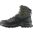 Scarpe da uomo Salomon Quest Element Gore-Tex