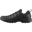 Scarpe da uomo Salomon X Braze Gore-Tex