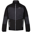 Giacca invernale da uomo Regatta Halton VI grigio DkGrey/Black