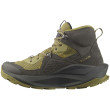 Scarpe da uomo Salomon Elixir Mid Gore-Tex