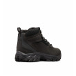 Scarpe da uomo Columbia Newton Ridge™ Plus II Waterproof