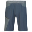 Pantaloncini da uomo Hannah Torres blu scuro india ink/urban chic