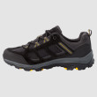 Scarpe da uomo Jack Wolfskin Vojo 3 Texapore Low M