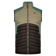 Gilet da uomo Dare 2b MountaineerIIVest verde/nero AgaveGrn/Blk