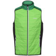 Gilet da uomo Regatta Halton B/W VII verde Jasmine Green/Field Green