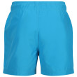 Pantaloncini da uomo Regatta Mawson SwShortIII