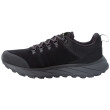 Scarpe da uomo Jack Wolfskin Terraventure Urban Low M (black)