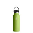 Borraccia termica Hydro Flask Standard Mouth 18 oz verde chiaro Seagrass