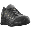 Scarpe da uomo Salomon X Braze Gore-Tex