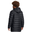 Giacca da uomo Under Armour Legend Down Parka