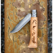 Coltello Opinel Vri N°8 Inox Hiking