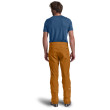 Pantaloni da uomo Ortovox Cevedale Pants M